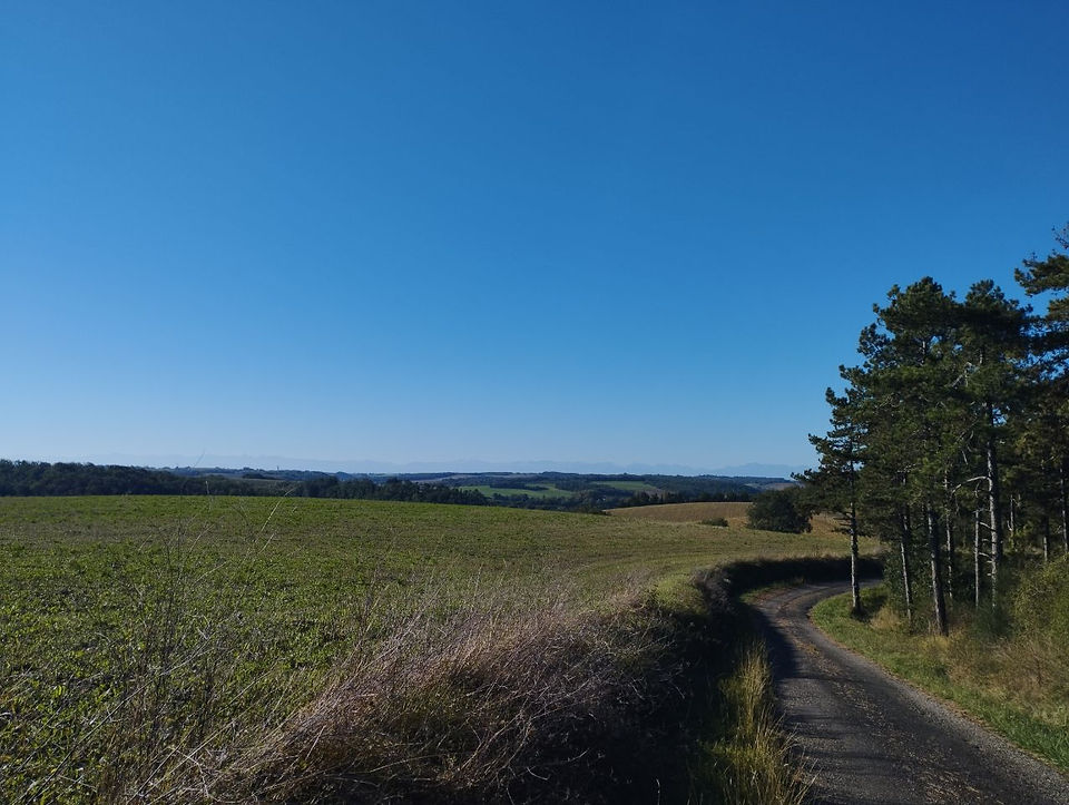 Paysages entre Auch et l'Isle de Noé en France