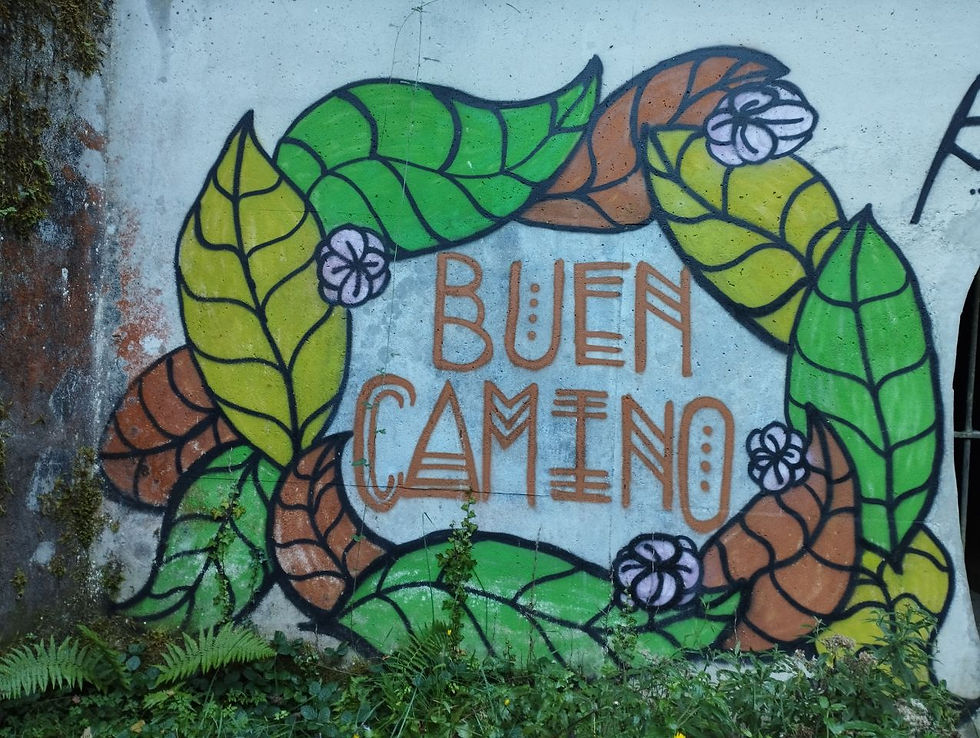 Un mur avec un tag "Buen Camino" entouré de feuilles