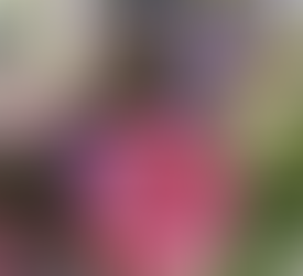 un bouquet de fleurs dans les tons roses et mauves