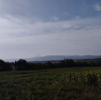 Paysage entre Castres et Dourgnes