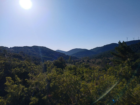 Paysage entre Sagüenza et Monreal