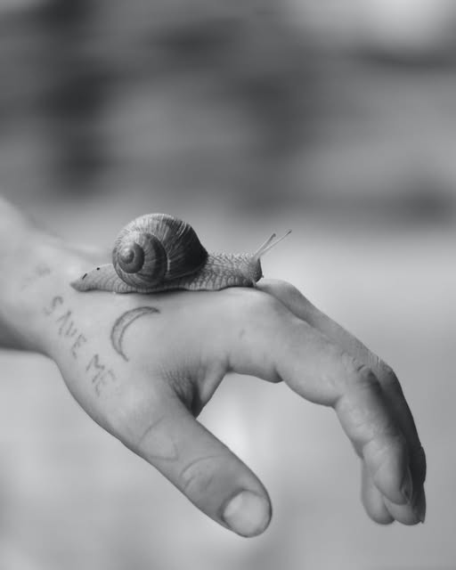 Une photo en noir et blanc. En gros plan, un escargot sur une main. Sur la main, un tatouage aec une lune et l'inscription "Save me"