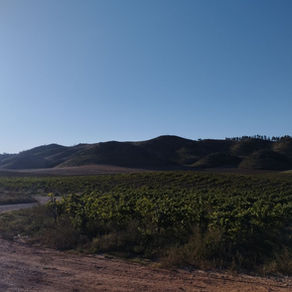 Paysage entre Ayegui et Sansol en Espagne
