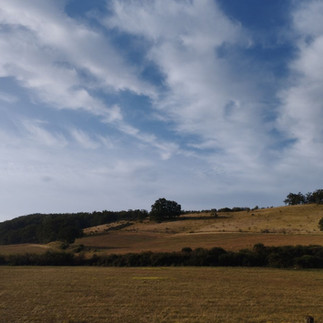 Paysage entre Castres et Dourgnes
