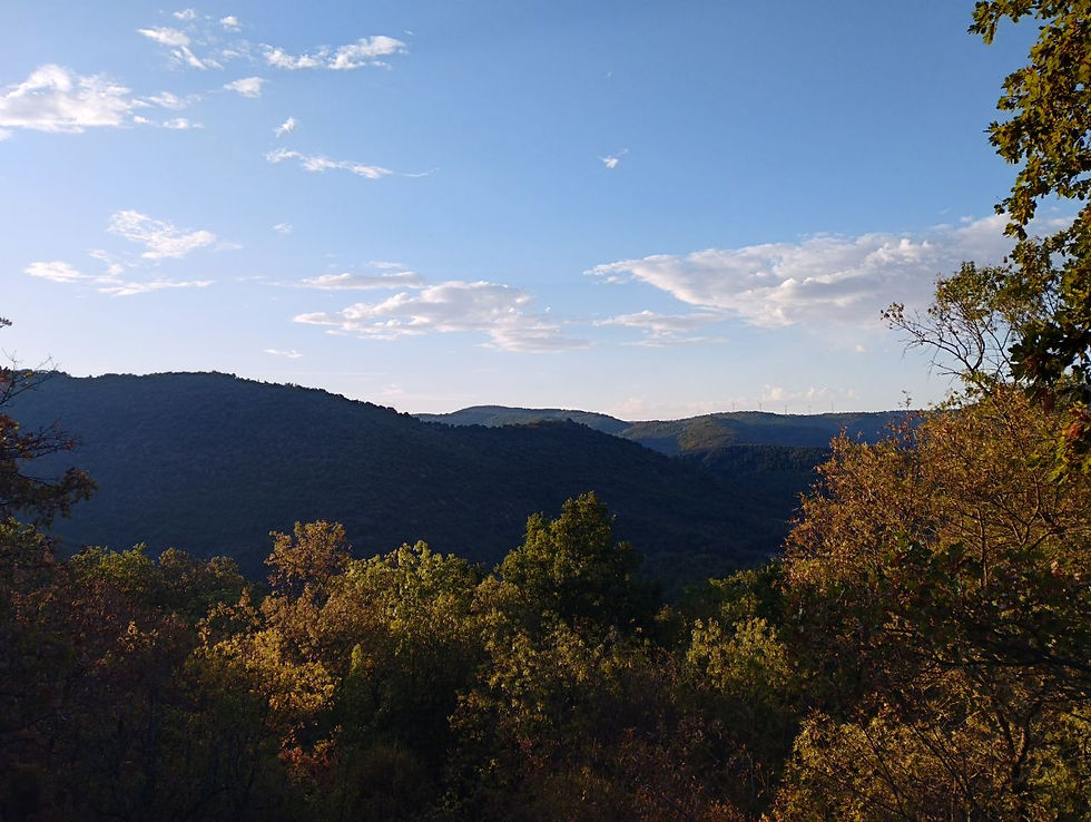 Paysage de montagnes entre Joncels et Le Bousquet