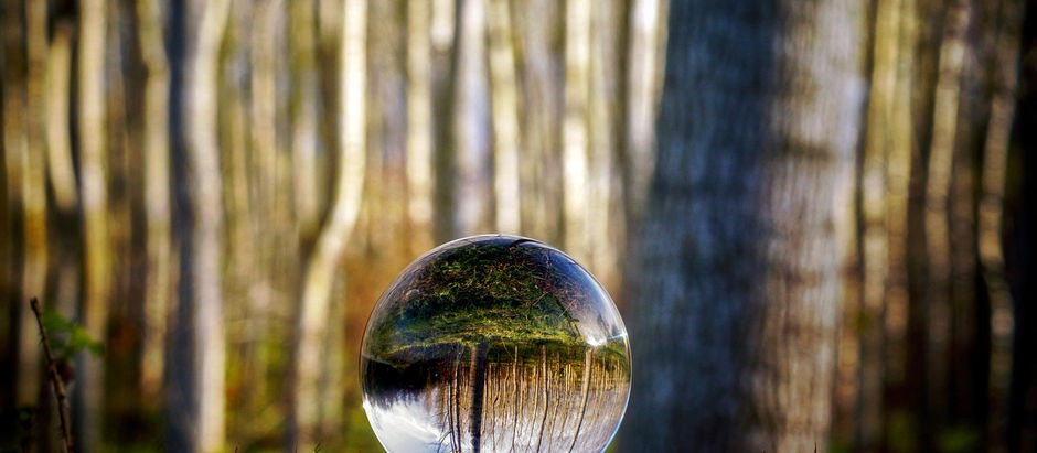 Une sphère de verre où se reflète la forêt
