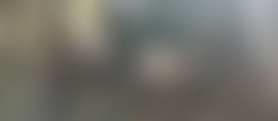 Des vahes qui passent sur un sentier de forêt