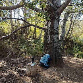 Paysage entre Monreal et Puenta la Reina