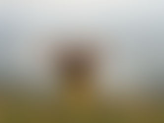 Hypnose entdecken: Dein Weg zu mehr Selbstbestimmung und persönlichem Wachstum