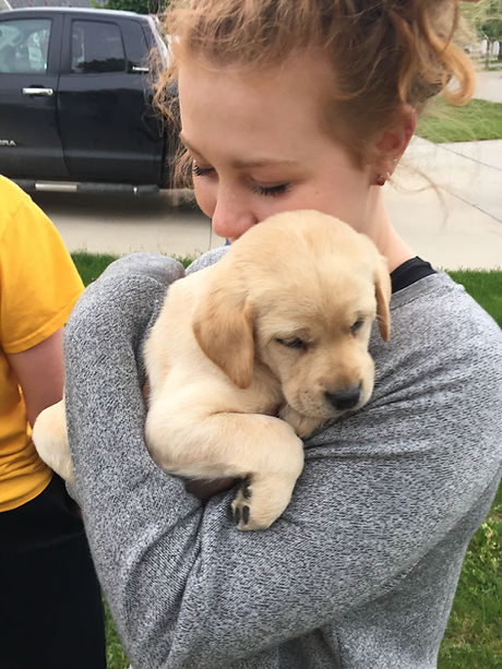 RubyPup.JPG