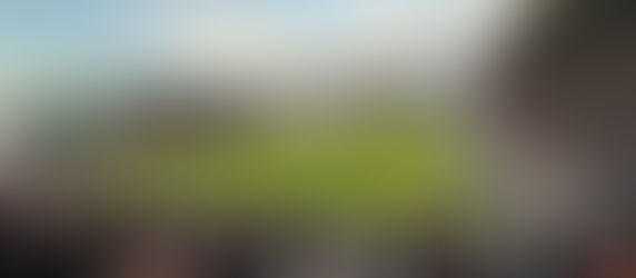 Stade Mayol in Toulon during a rugby match with fans filling the stands