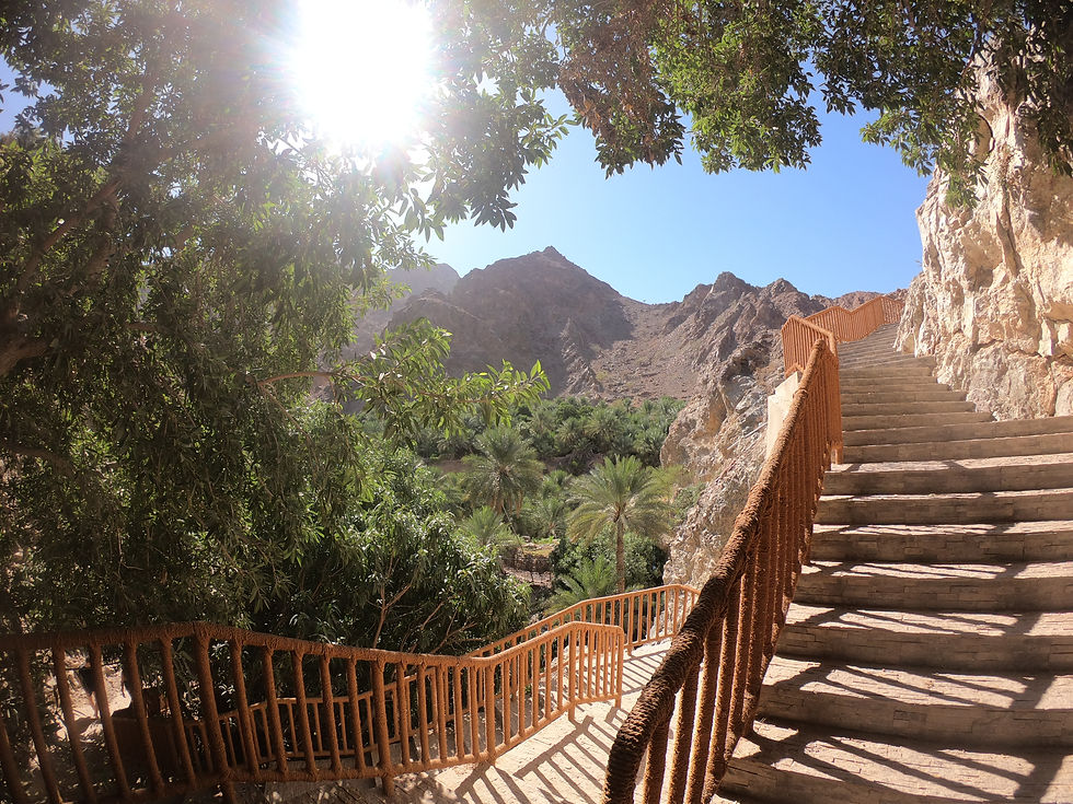 Wadi Shees Nature Trail staircase with oasis and mountains in Sharjah UAE