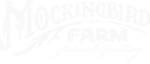 logo_edited_edited_edited_edited_edited_