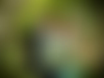 Jill and Garth Benson | Vow Renewal