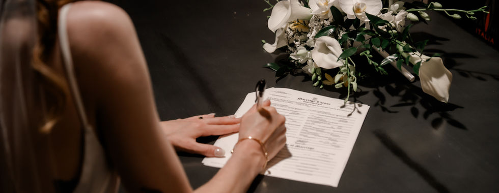 Wedding Photography Pontiac Michigan