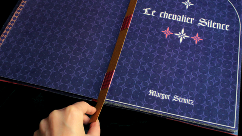 Diplôme de Margot Strinz, DN3 objet-livre.