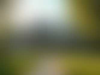 Unveiling the Hidden Importance of Regular Roof Inspections for Your Home's Longevity and Safety