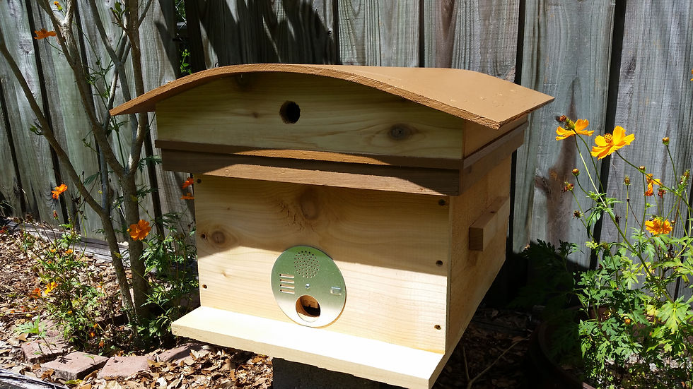 Langstroth Hive - Cedar - 7