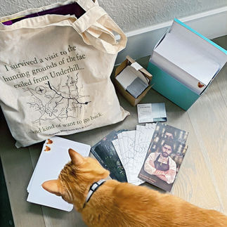 A cat in front of a tote back and stack of envelopes