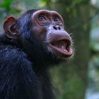 uganda-1-5_edited.jpg