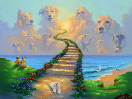 Lucy's in the sky...