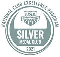 USA Silver 2021.jpg