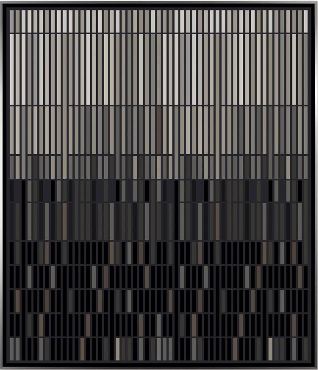 MS 010