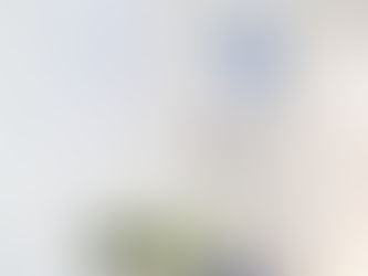 COMPOSIÇÃO DE QUADROS - MONOCROMATICA