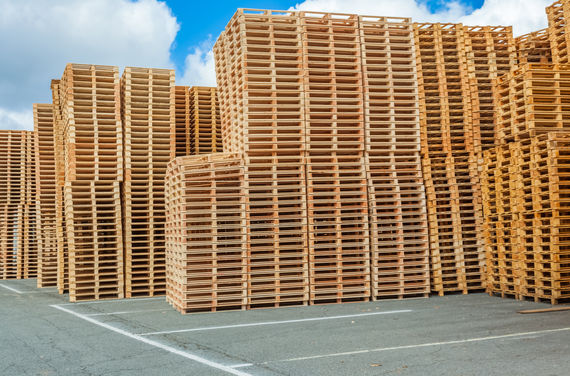 Pallet di pino