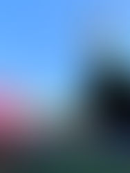 September 8, 2022 the photo metadata says (or maybe just this site upload date?)