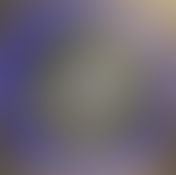 Conexiones profesionales en el Programa Espacial Internacional