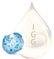 igg