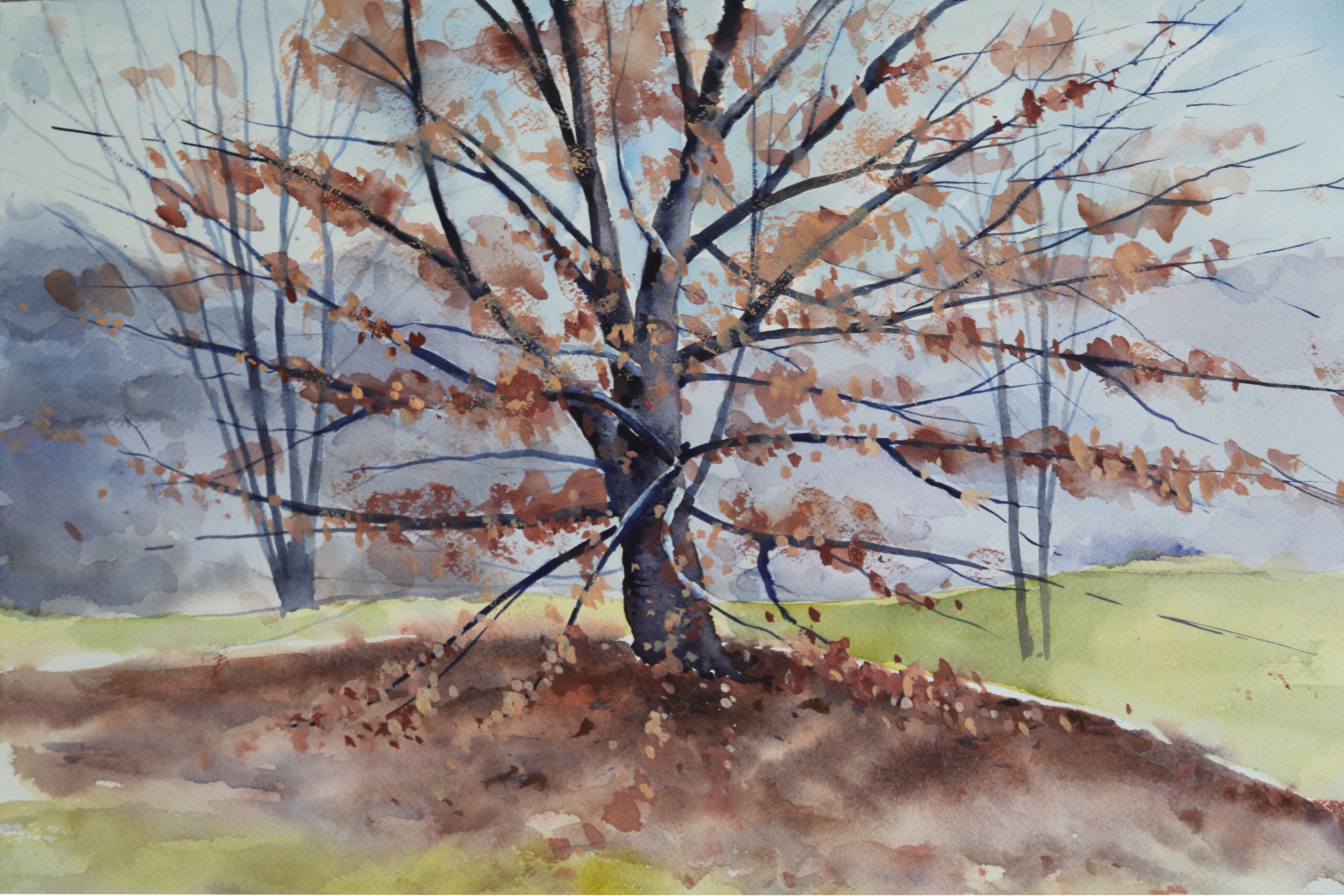 Autumn watercolor landscape painting of bare trees