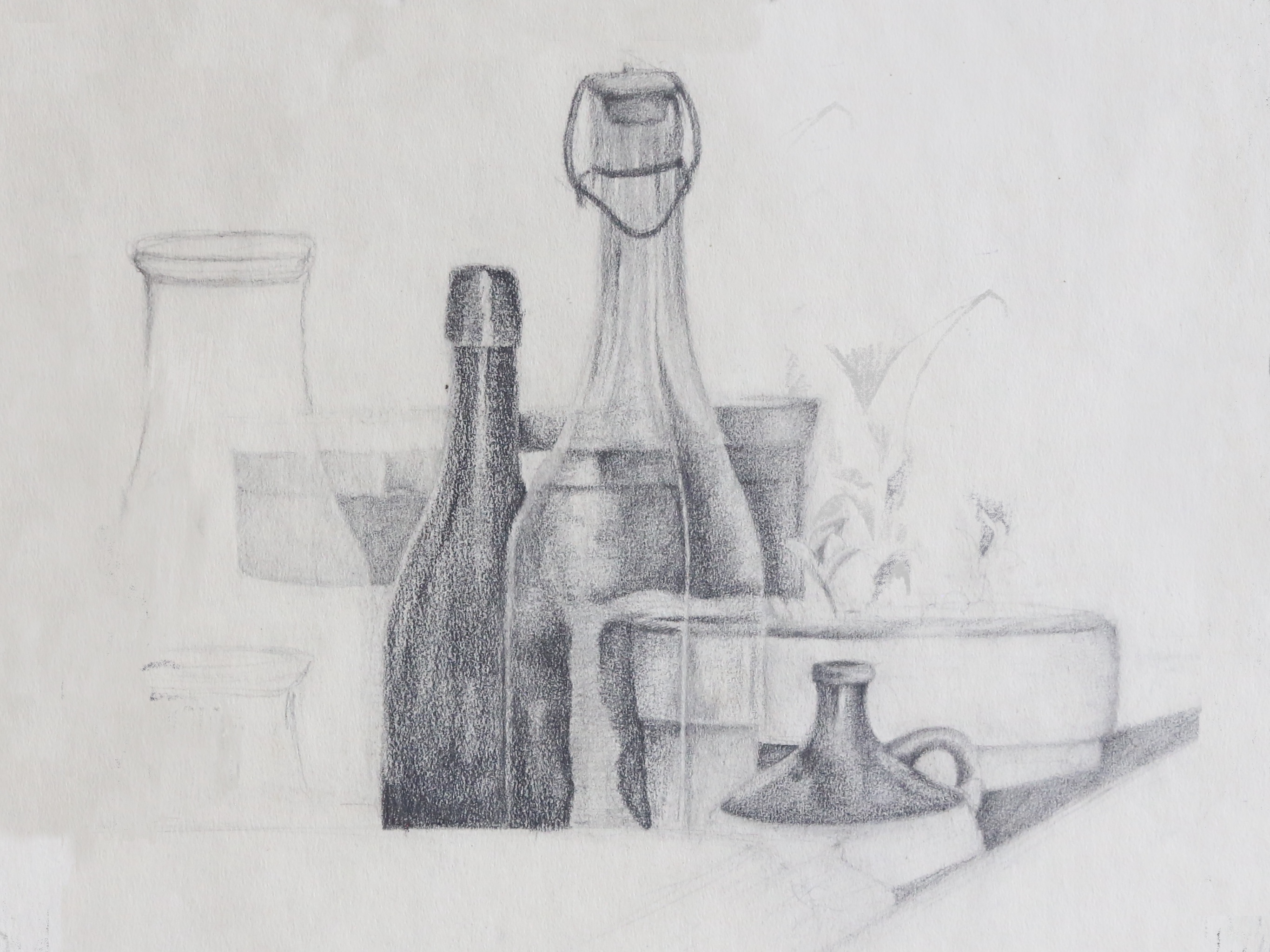 Pencil sketch: bottles, jars, and flowers