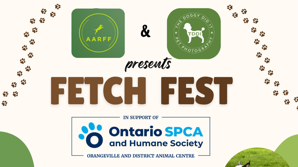Fetch Fest