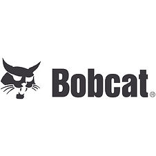 Bobcat.jpg