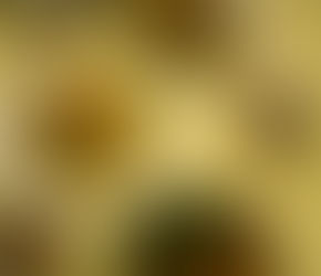 8月のよりみち堂