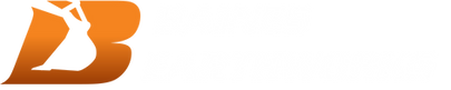 Baines Earthworks Logo 3.png