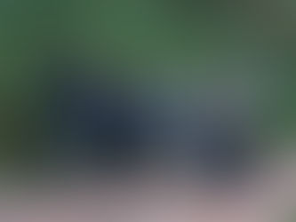 Primeiro Workshop Fotográfico de aves e Edição de imagens no Hotel Serra Bonita em Delfim Moreira/MG