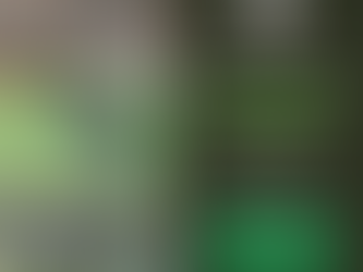 LIVE - FOTOGRAFIA DE AVES