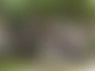 A Birds Atlantic esteve presente no evento Vem passarinhar, realizado em Penedo-RJ.