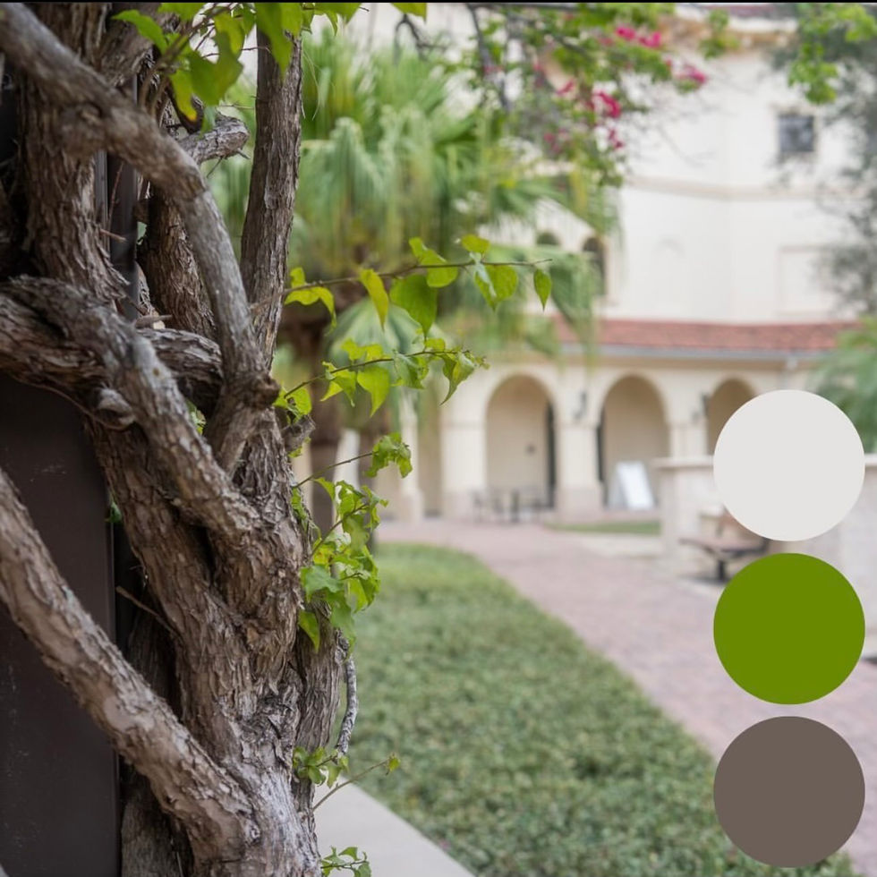 Campus Colors - USF Sarasota-Manatee 5