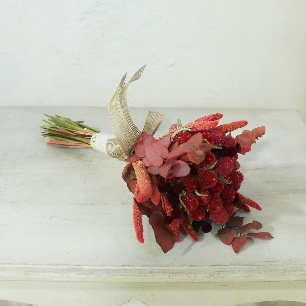 Miniatura: Perpetuina roja.