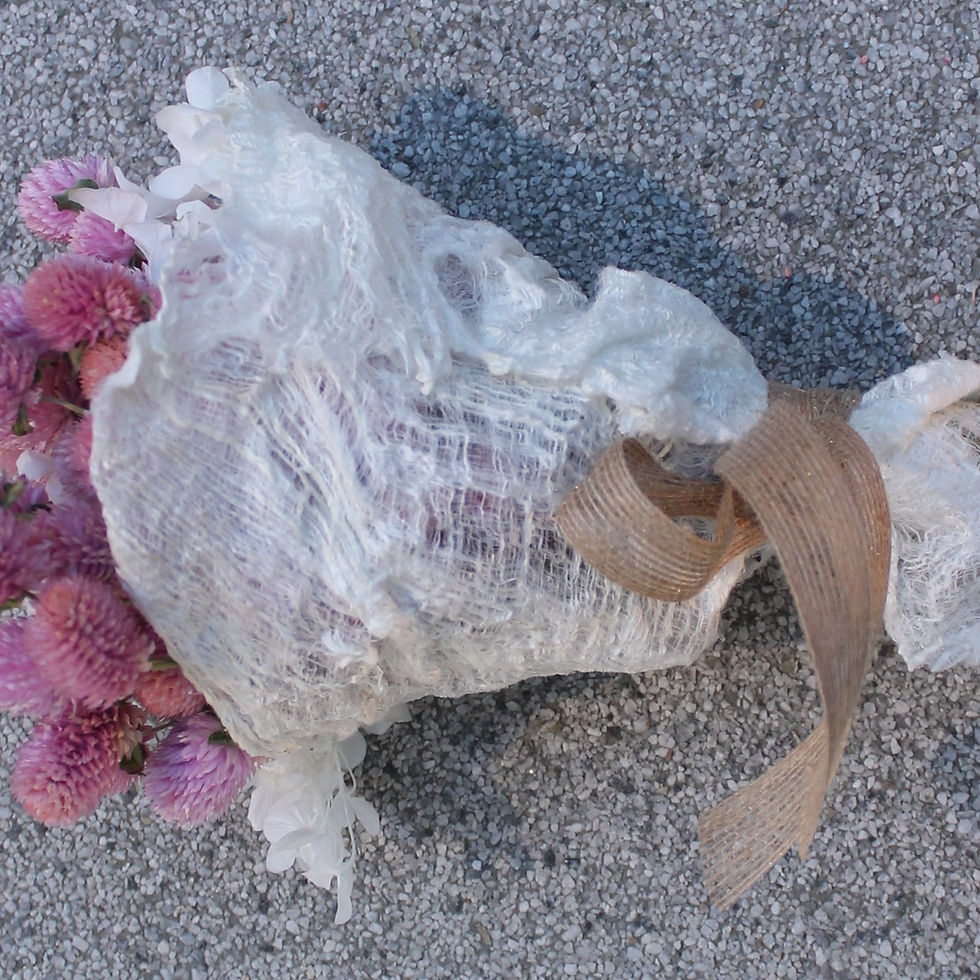 Miniatura: Perpetuina rosa.