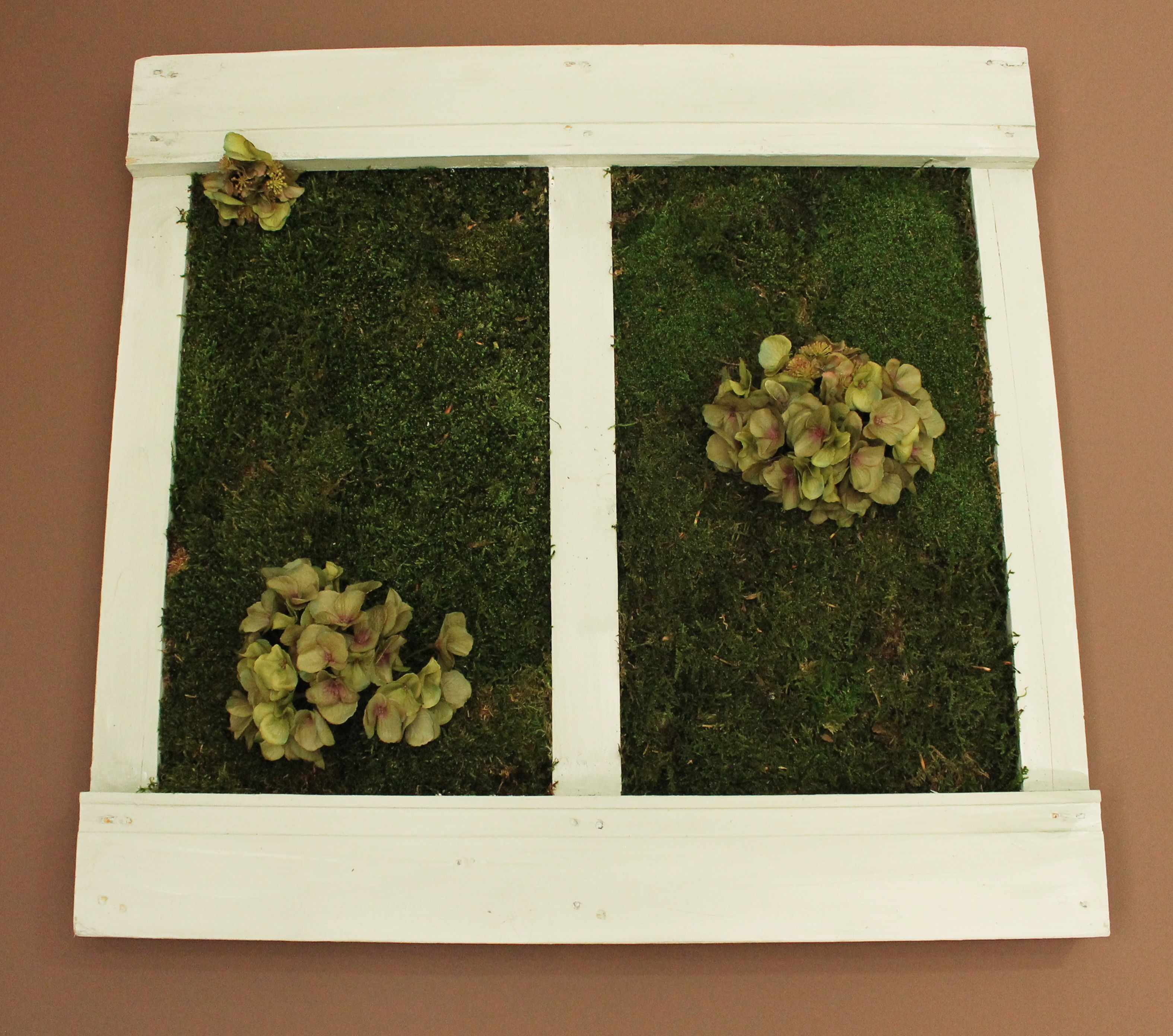 Tablones con musgo preservado