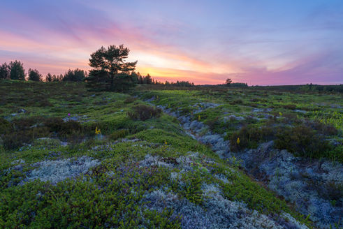 Päikeseloojang looduses | Päikseloojang looduses
