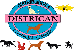 districan logo png.png