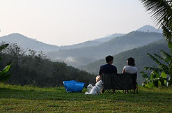 Zen Forest Waterfall Campsite Zone D - Dawn View