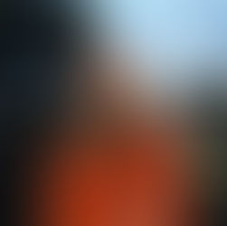 Rosa Raye | Living Spree