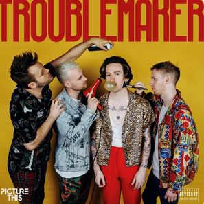 Picture This | Troublemaker